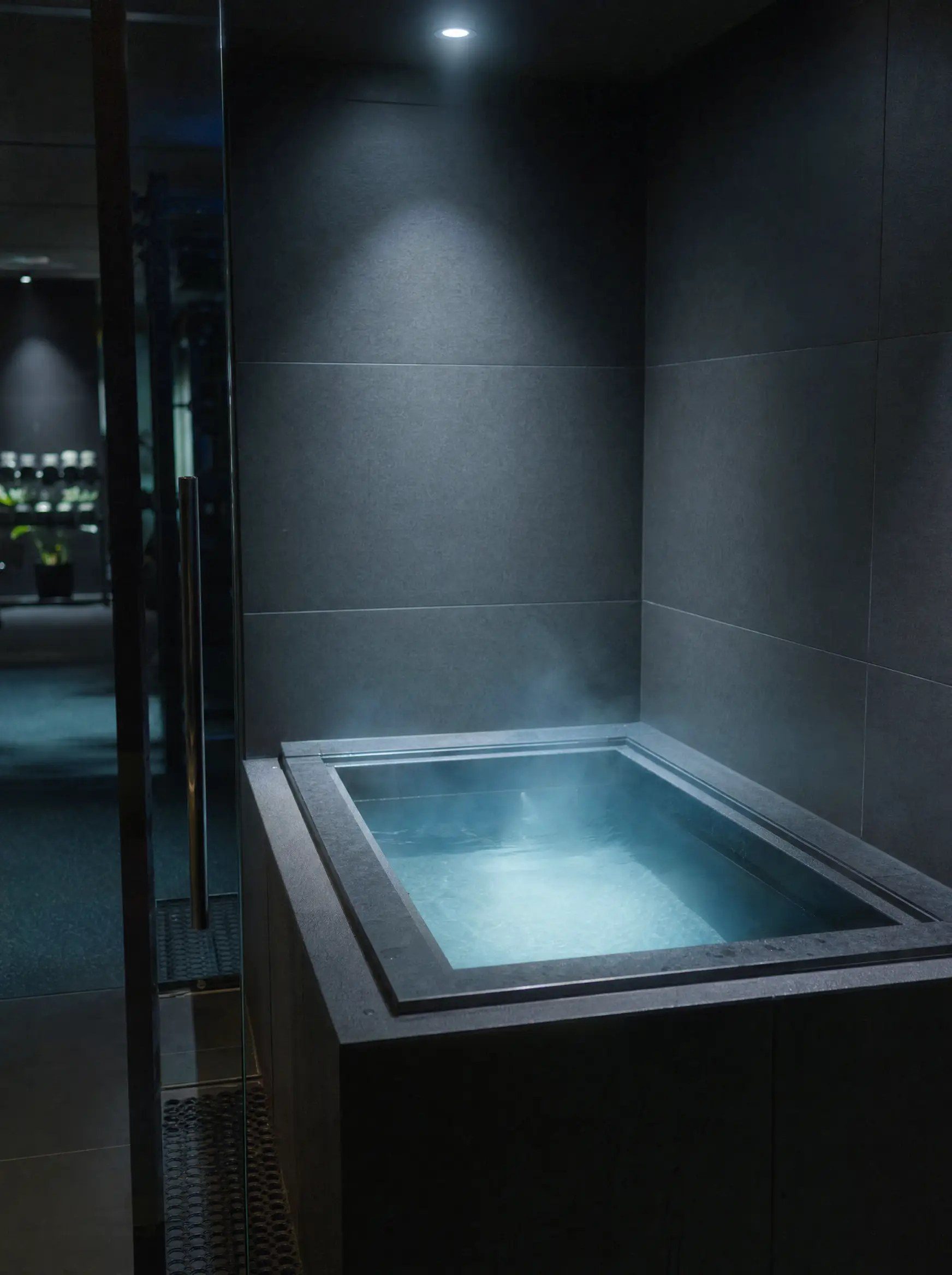 The cold plunge at Arktic Recovery